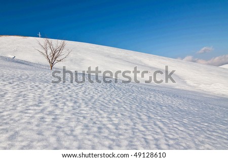 beautiful hillside winter landscape