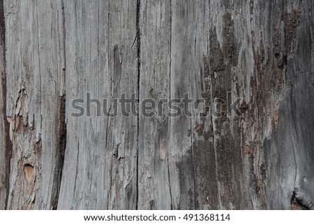 simple structural Texture of dry wood background