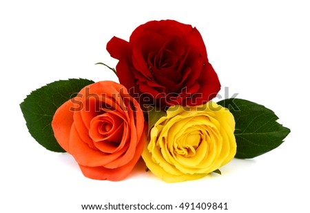 beautiful Bouquet of rose flowers isolated on white background