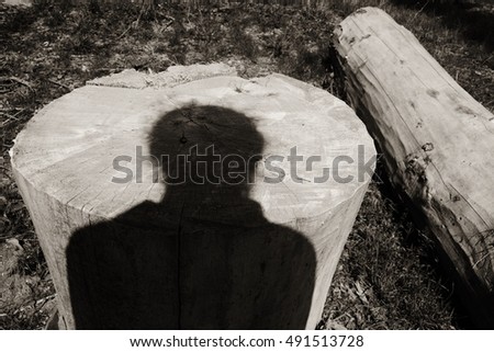 Tree stumps and a human on felled timber in the forest/Large Tree cut down and human
