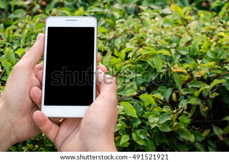 White mobile phone in hands a young hipster business man on the background of green nature natural bush 