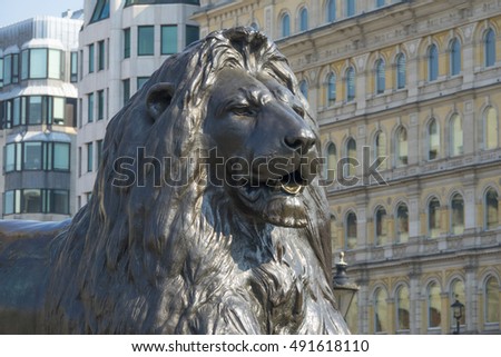 The famous lions at Trafalgar Square in London