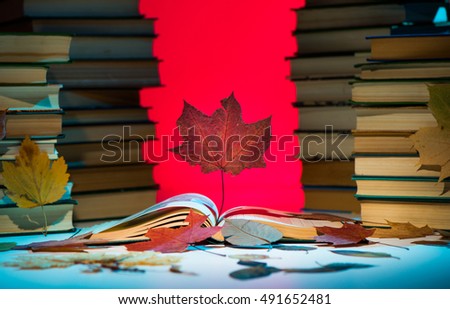 maple leaf at books in red light