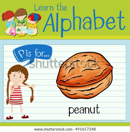 Flashcard letter P is for peanut illustration