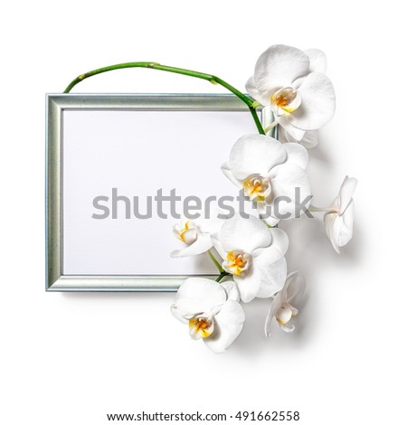 Picture photo frame with white orchid flowers isolated on white background clipping path included. Flat lay. Copy space