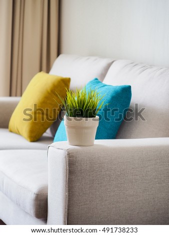 Home Interior, Plant Pot on the Sofa