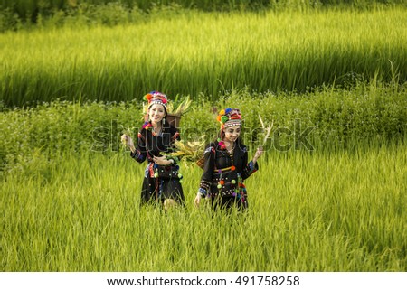 Tribal Girls happy smiling in rice fields.