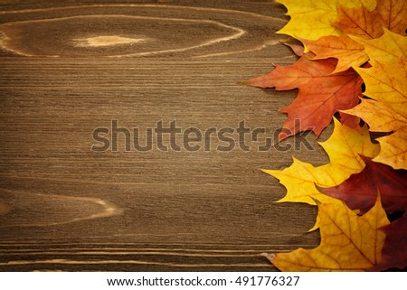 Bright autumn maple leaves on an old wooden surface with copy space