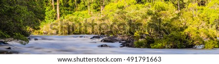 Scenic view of the raging Nymboida river flowing through forest