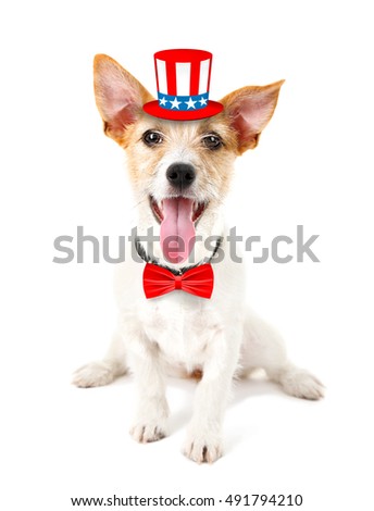 Cute dog with Uncle Sam hat and bow-tie on white background. USA holiday concept.
