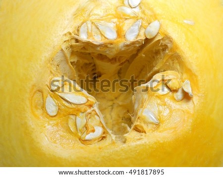 Picture shows the whole vegetable yellow pumpkin seed, stem cut slices, natural plant product isolated closeup. Pumpkin drawing consisting of photo ripe fresh food autumn orange. Eat sweets pumpkins.