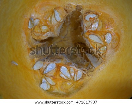 The picture shows the whole vegetable yellow pumpkin,seed,stem,cut slices,natural plant product isolated closeup.Pumpkin drawing consisting of photo,ripe,fresh,food autumn,orange.Eat sweets pumpkins.