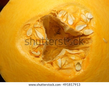 The picture shows the whole vegetable yellow pumpkin,seed,stem,cut slices,natural plant product isolated closeup.Pumpkin drawing consisting of photo,ripe,fresh,food autumn,orange.Eat sweets pumpkins.