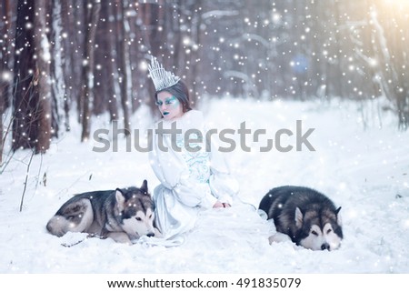 Snow queen in winter. Fairy tale girl with Huskies or Malamute. Beautiful snow queen witn dogs.