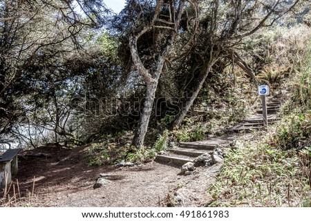 Leaving tsunami zone sign, with escape stairs in the background. Photographed in the Northern California redwood forest.