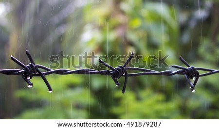 Barbed wire under the rain. Water drops on sharp wire knots. Closeup photo of garden fence protecting property from forest. Green background. Black metal wire border picture. Home safety concept image