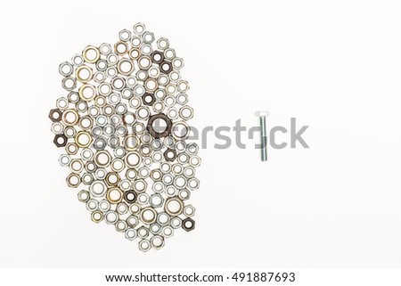 Nuts and a bolt on white background, Different Concept, Find the right man concept, Choosing right partner concept