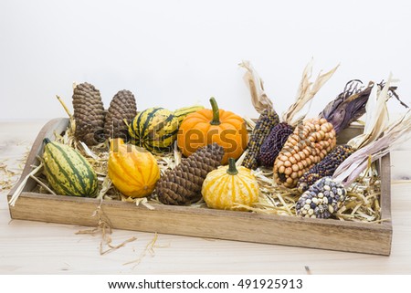 Autumn mood with decorative pumpkins, corns, pine cones and straw