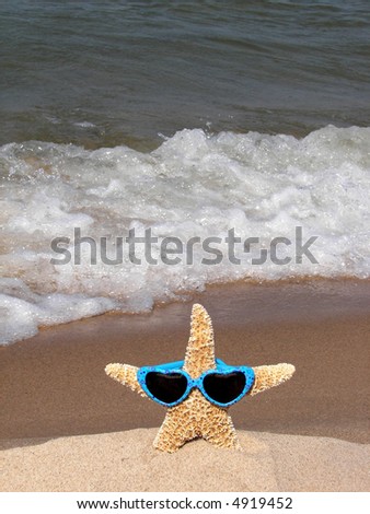 starfish wearing sunglasses