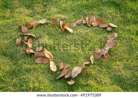 beautiful background, texture  symbol hart dry leaf on green grass