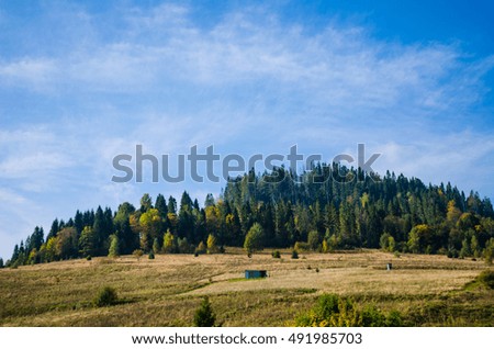 Carpathian mountains landscape in the autumn season