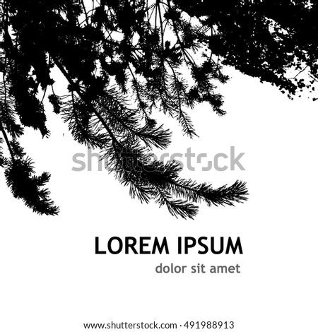 Background of pine branches. Vector