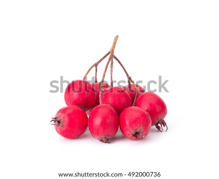 Hawthorn berry isolated on white background