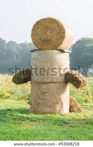Hay bale figure, in the countryside.