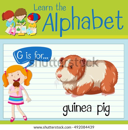 Flashcard letter G is for guinea pig illustration