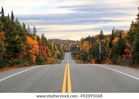 Road through Algonquin Provincial Park in fall, Ontario, Canada
