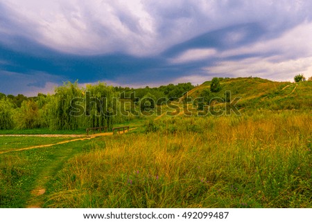 Pathway on a hill with wildflowers. Beautiful natural landscape at sunset with green grass, flowers and cloudy sky. Image of travelling and adventure in countryside. Great outdoors picture.