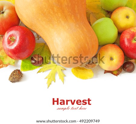 Beautiful autumn harvest and leaves isolated on white. Pumpkin, apple and nuts on white background