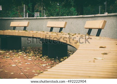 benches made of wood, benches in a semicircle, the leaves on the bench