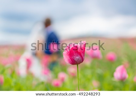 Happy wedding couple in pink poppy field. Beautiful bride in white dress and groom kissing and having fun in flower field on summer day. Just married, young family.