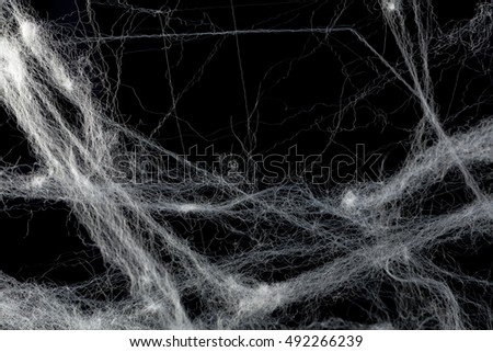 Cobweb or spider's web against a black background, to be used as overlay for Halloween designs Royalty-Free Stock Photo #492266239