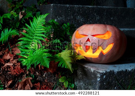 Halloween Scary Pumpkin in the grass with dry leaves and ferns