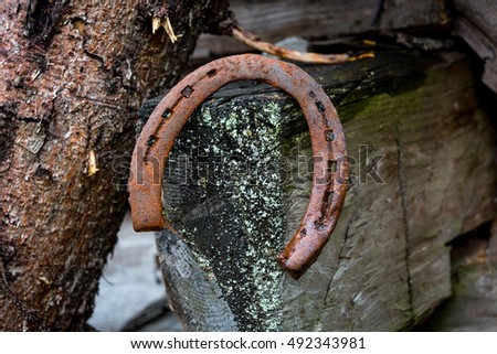 old rusty horseshoe on woods background