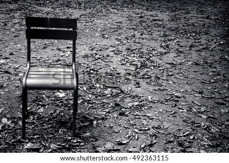 Chairs in Luxembourg garden. Paris (France) Black and white photo.