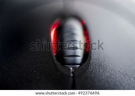 Computer Mouse on a White Background