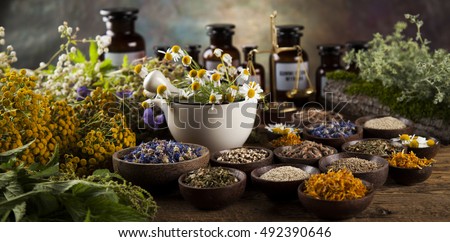 Fresh medicinal, healing herbs on wooden Royalty-Free Stock Photo #492390646