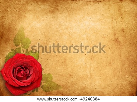 vintage rose , Old paper background