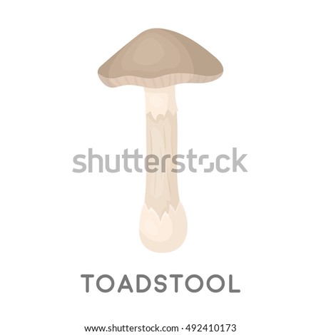 Toadstool icon in cartoon style isolated on white background. Mushroom symbol stock vector illustration.