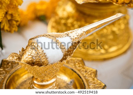 Conch shell adorned with gold use for Pour water In various events