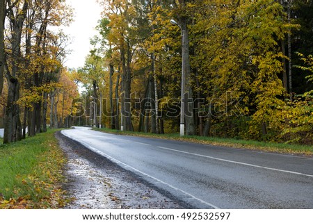 Autumn road in the town of Pushkin
Old park in the town of Pushkin, Russia autumn