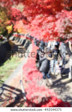 Blurred photo of Japanese red maple leaf.
