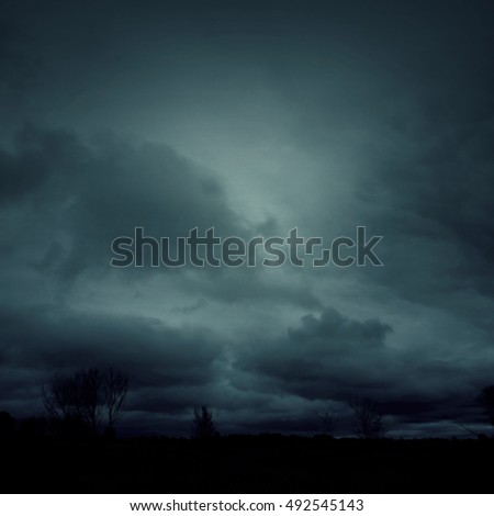 Spooky misty foggy forest with dramatic sky, halloween background Royalty-Free Stock Photo #492545143