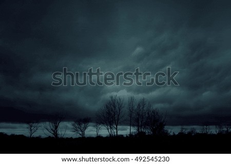 Spooky misty foggy forest with dramatic sky, halloween background