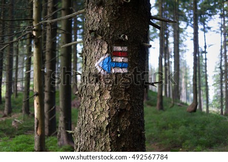 Trail marking in Czech Republic. Painted mark for tourist, hikers and trekkers. It helps to navigate walker during hiking, method of navigation on touristic routes and paths in nature