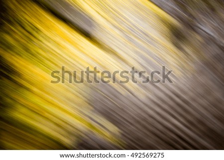 abstract blur background. autumn colors of nature