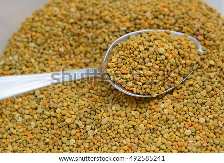 A spoon full of pollen. Bee Pollen. agriculture